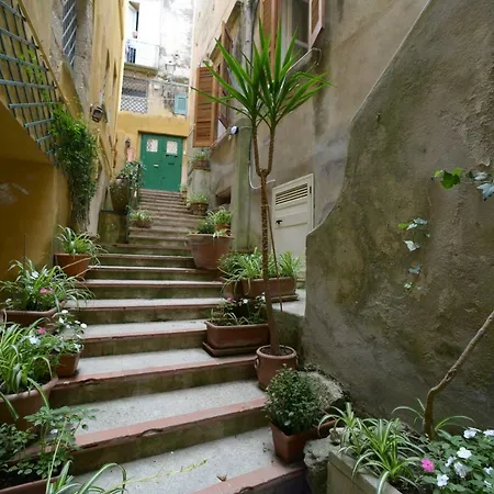 Palazzo Adilardi * Tropea